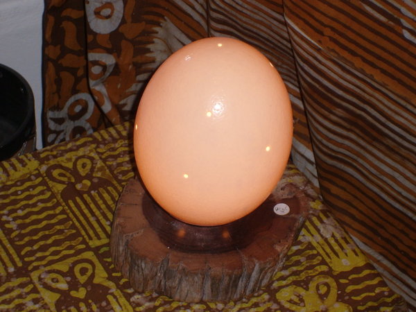 Straußenei-Lampe